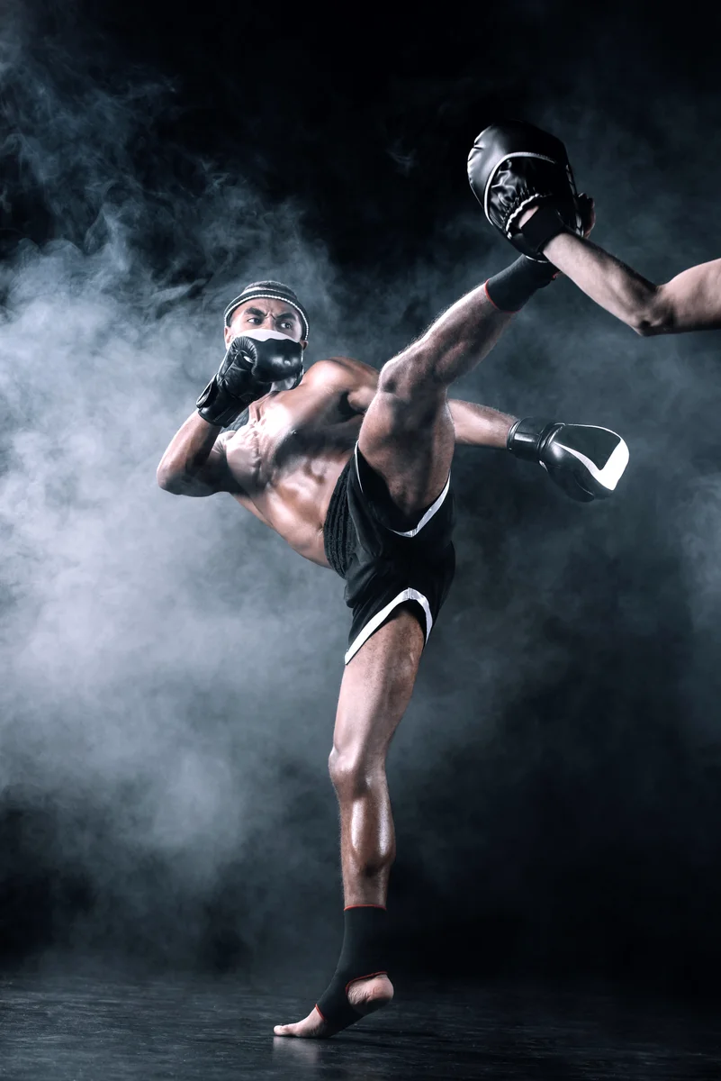 Executive Martial Arts Coaching in Issaquah academy photo