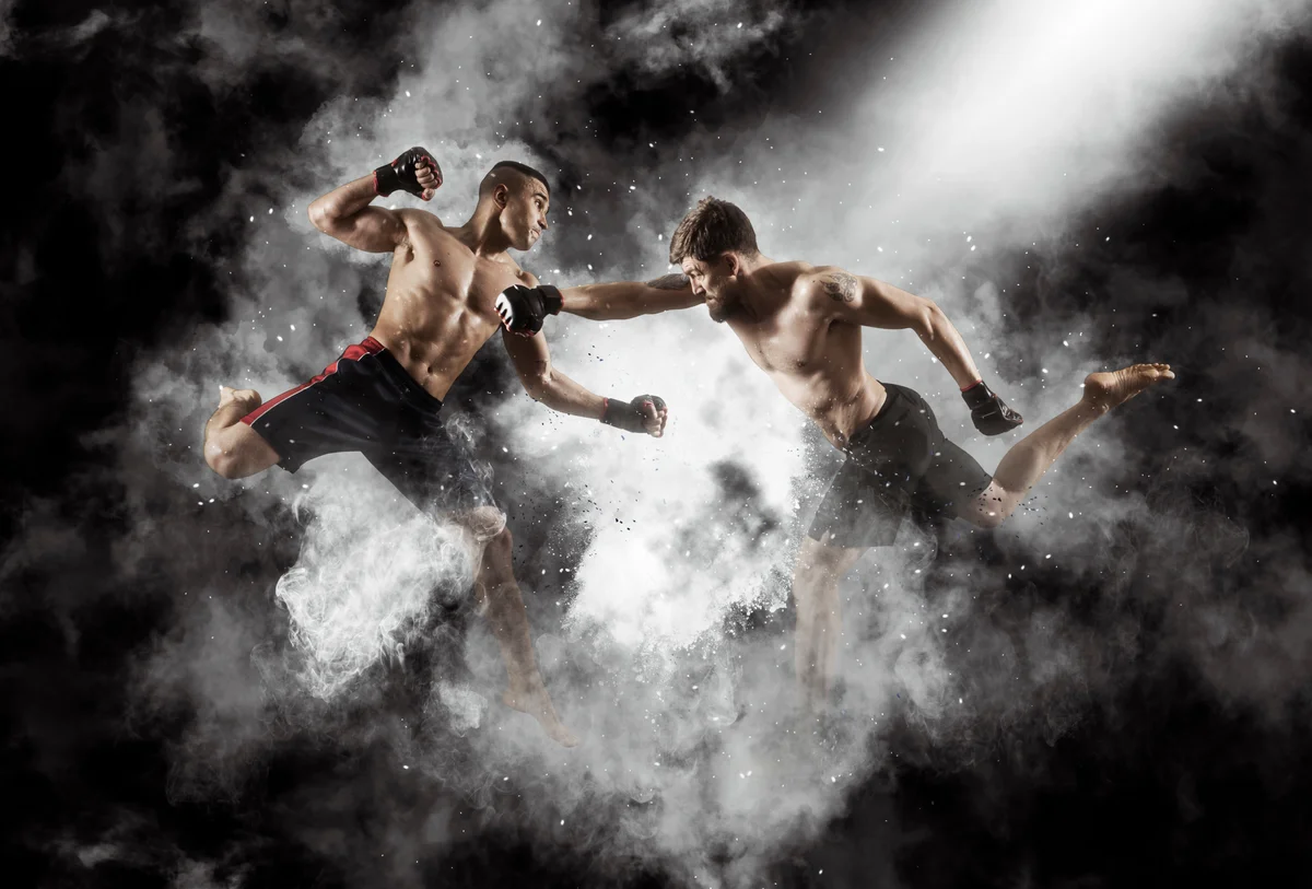 Executive Martial Arts Coaching in Issaquah academy photo