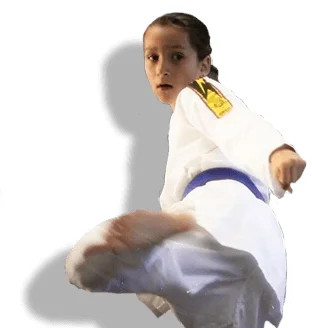Family Black Belt Academy academy photo