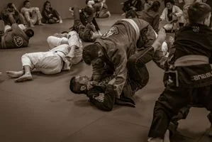 GRPL Club Jiu Jitsu Brasileiro academy photo