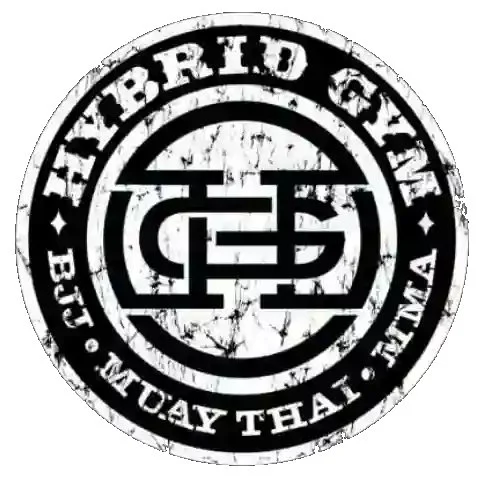 hybrid gym academy logo