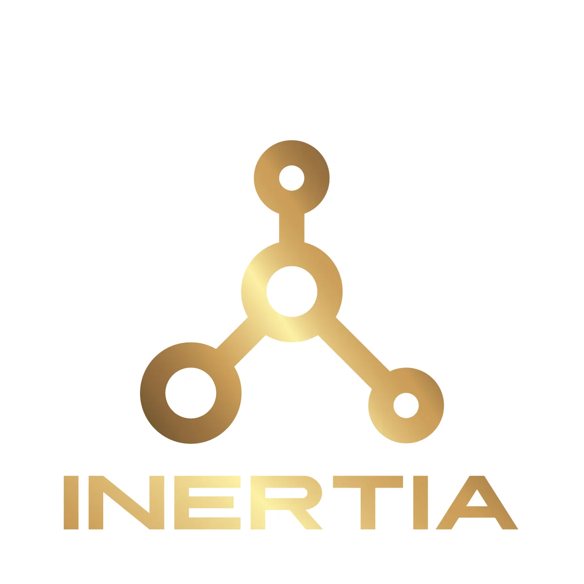 Inertia Brazilian Jiu Jitsu academy photo