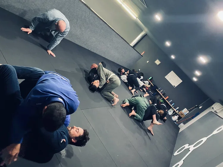 Inertia Brazilian Jiu Jitsu visual