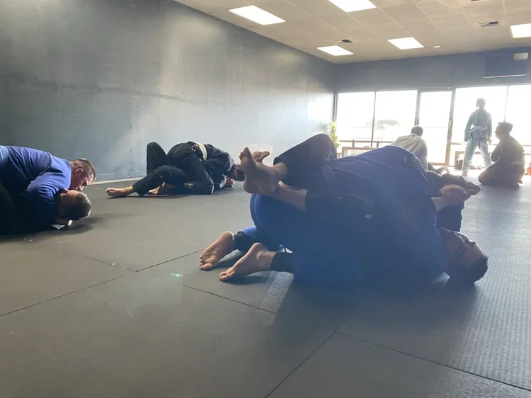 Inertia Brazilian Jiu Jitsu academy logo