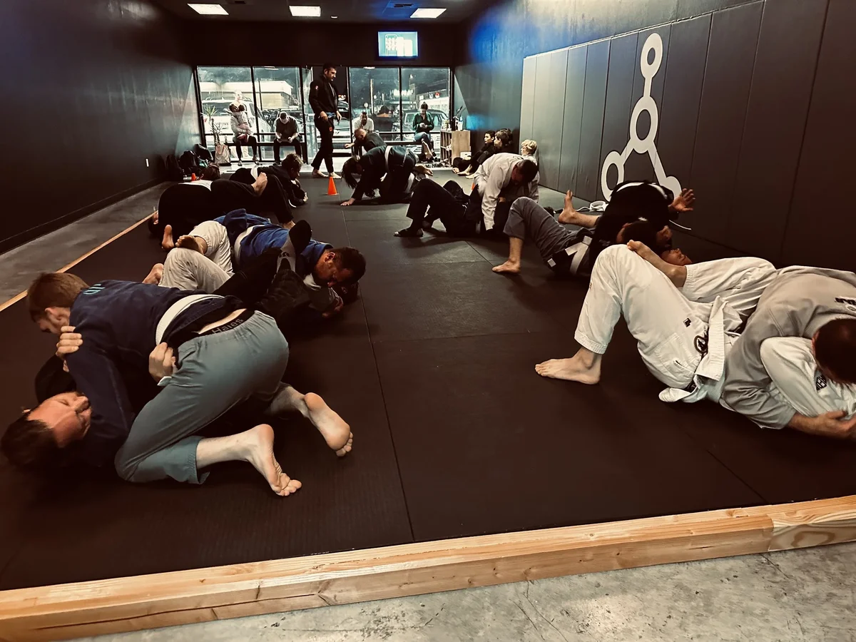 Inertia Brazilian Jiu Jitsu academy photo