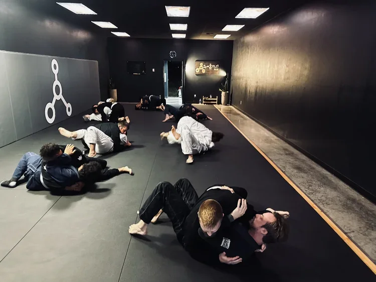 Inertia Brazilian Jiu Jitsu academy photo