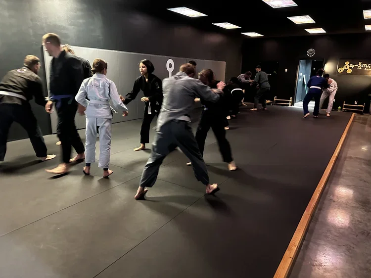 Inertia Brazilian Jiu Jitsu academy photo