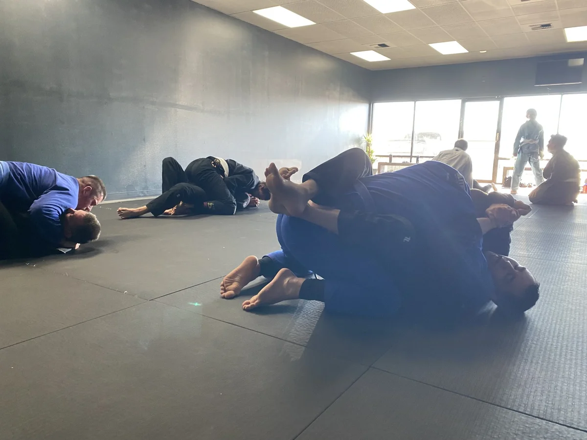 Inertia Brazilian Jiu Jitsu academy photo