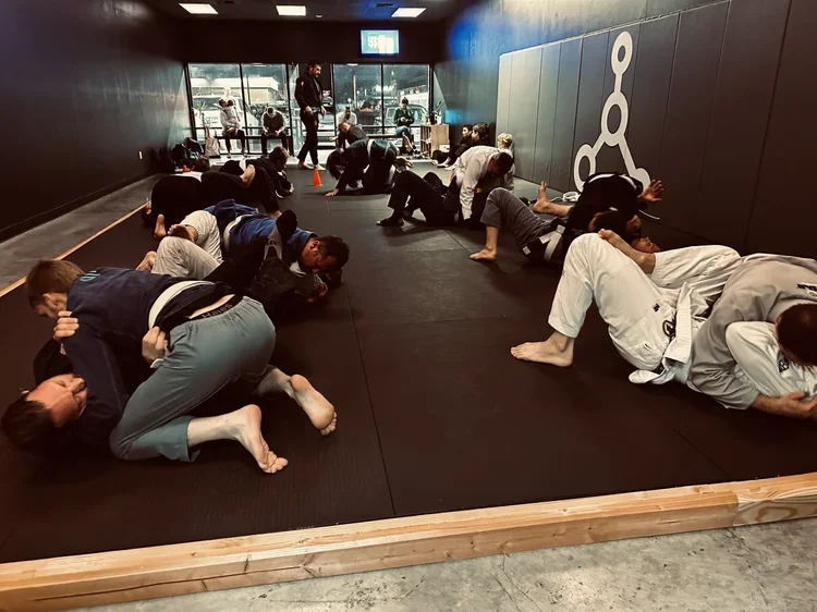 Inertia Brazilian Jiu Jitsu academy photo