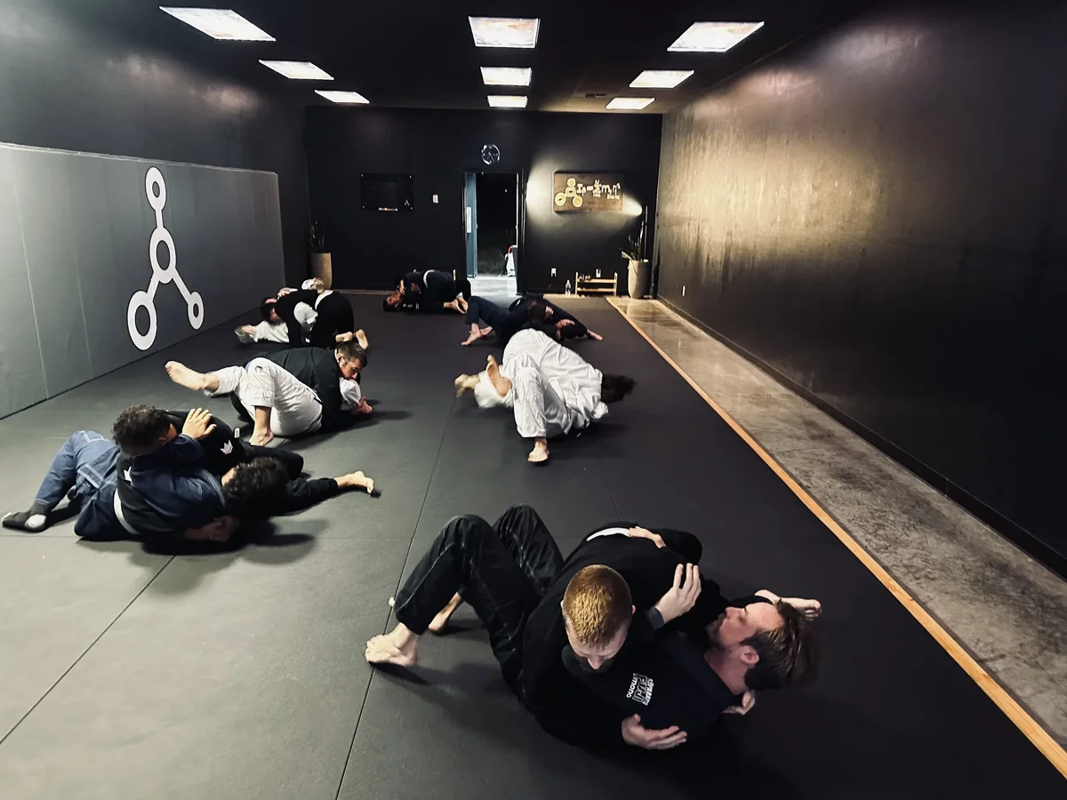 Inertia Brazilian Jiu Jitsu academy photo