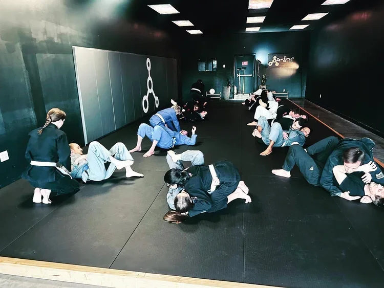 Inertia Brazilian Jiu Jitsu academy photo