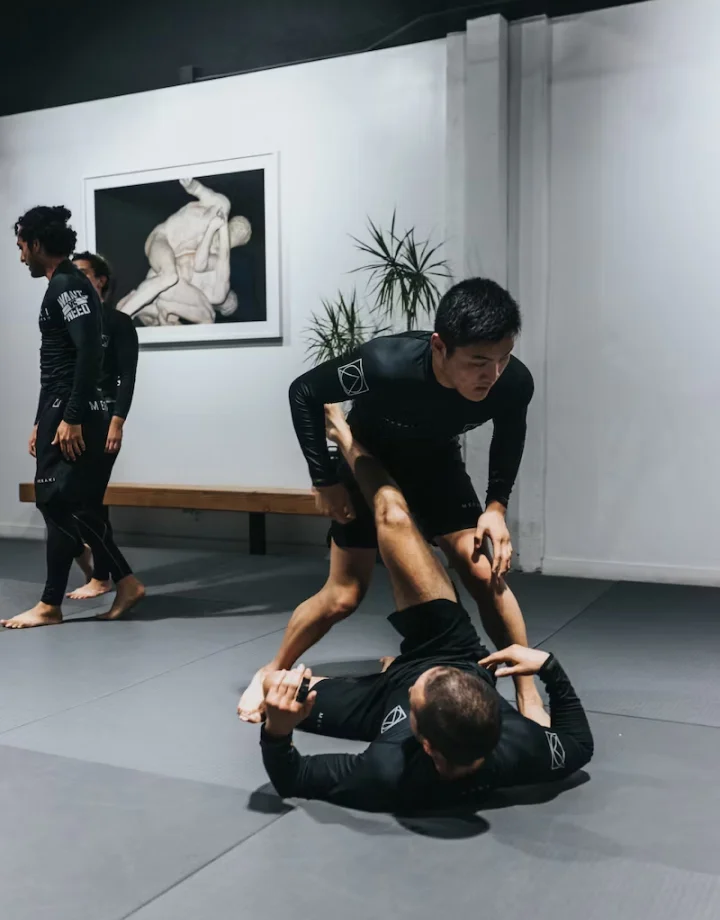 Jiu-Jitsu For All (Bold Spirit Brazilian Jiu-Jitsu) academy photo