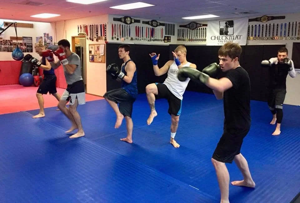 Kenny Kim Jiu Jitsu Academy academy logo