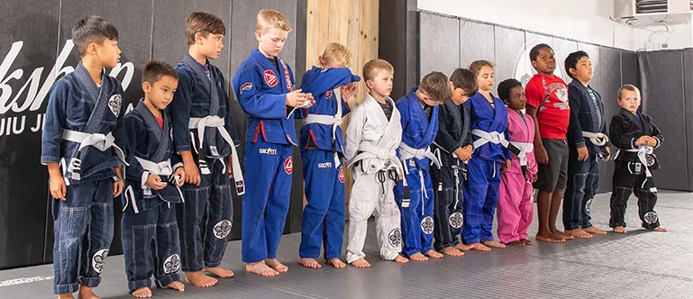 Kindred Jiu Jitsu visual