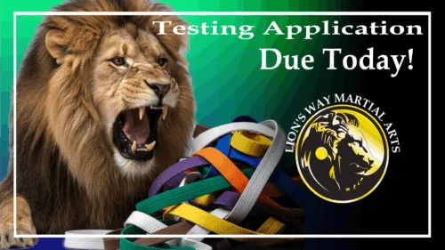 Lion's Way Martial Arts academy photo