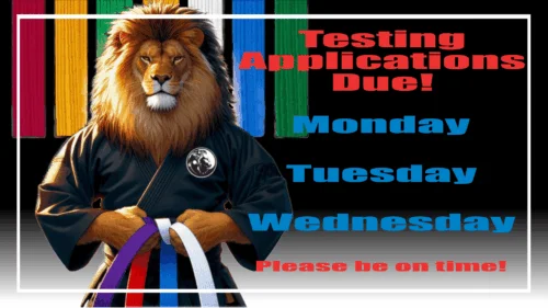 Lion's Way Martial Arts academy photo