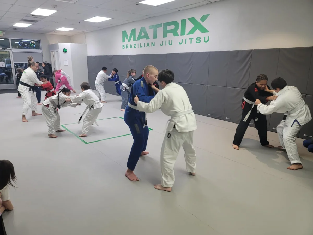 Matrix BJJ - Brazilian Jiu Jitsu Academy academy photo