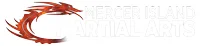 Mercer Island Martial Arts visual