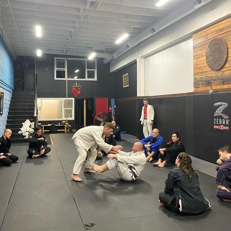 Nemesis Jiu Jitsu academy photo