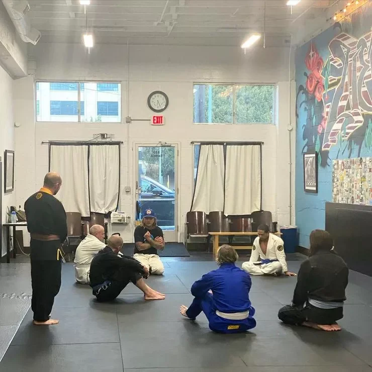 Nemesis Jiu Jitsu academy photo