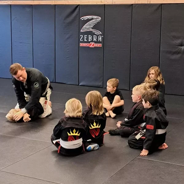 Nemesis Jiu Jitsu academy photo