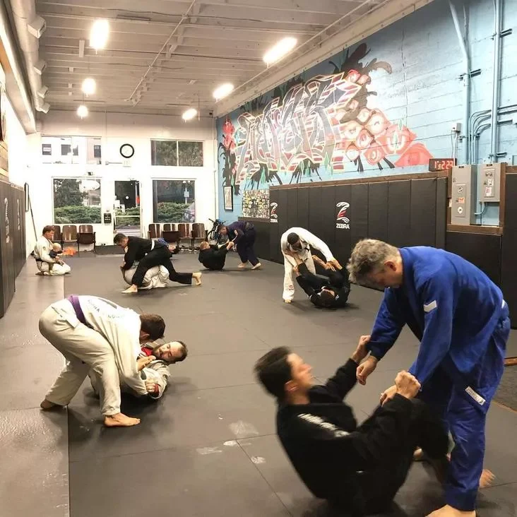Nemesis Jiu Jitsu academy photo