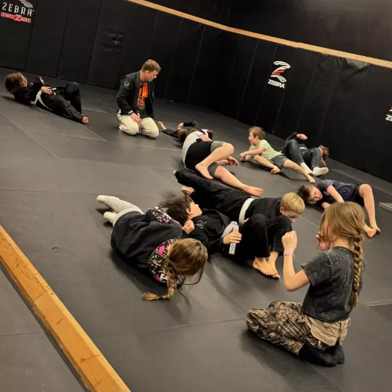 Nemesis Jiu Jitsu academy photo