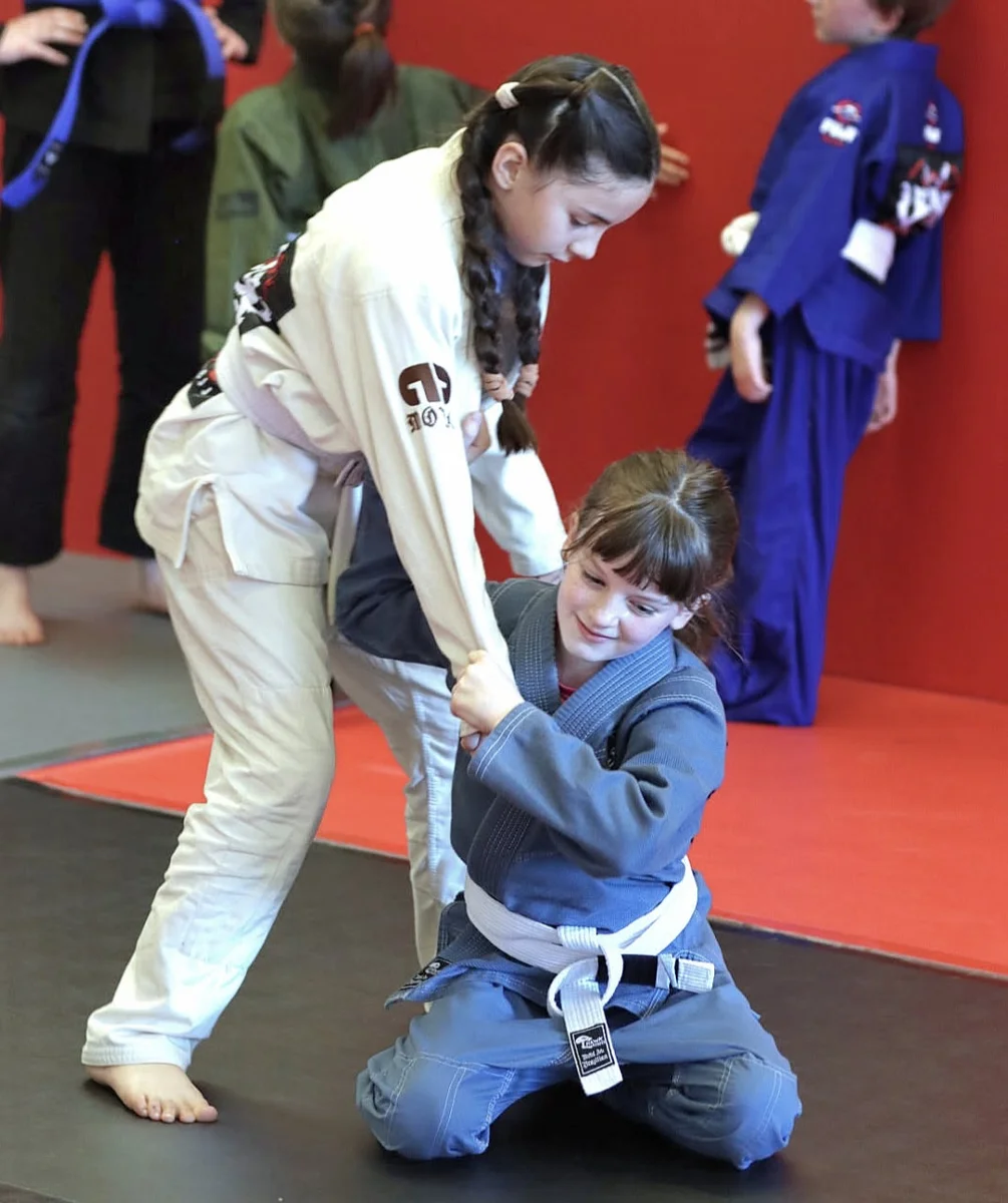 Nova Ryu BJJ visual
