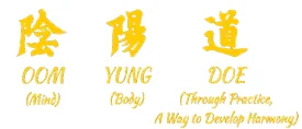 Oom Yung Doe - 8 Martial Arts - Seattle academy photo