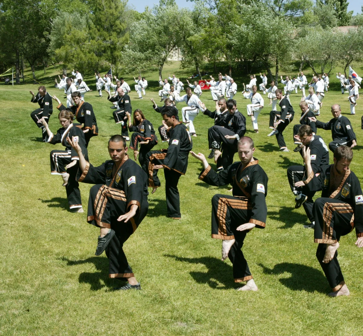 Oom Yung Doe - 8 Martial Arts - Seattle academy photo