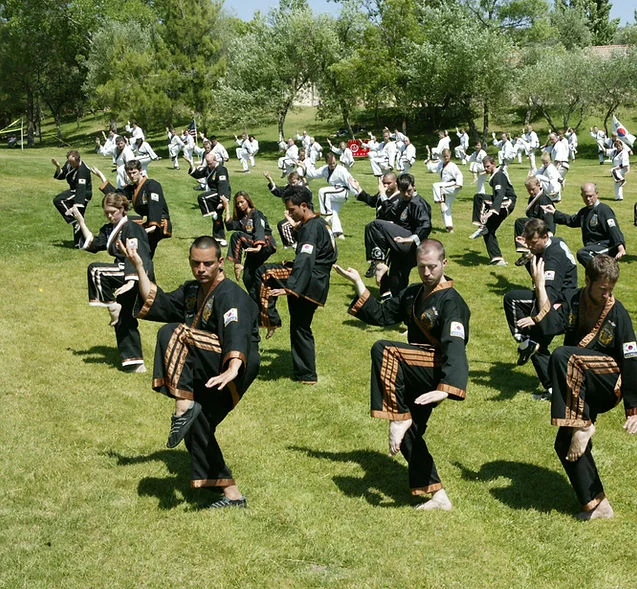 Oom Yung Doe - 8 Martial Arts - Seattle academy photo