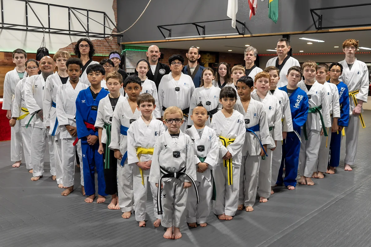 Pinnacle Martial Arts academy photo