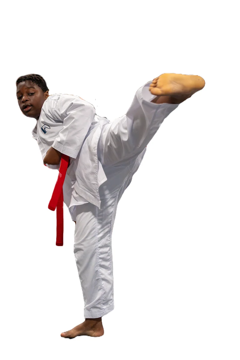 Pinnacle Martial Arts academy photo