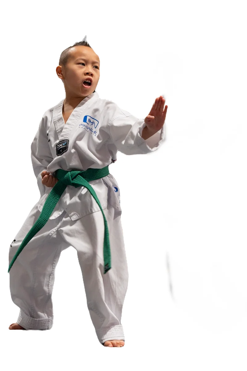 Pinnacle Martial Arts academy photo