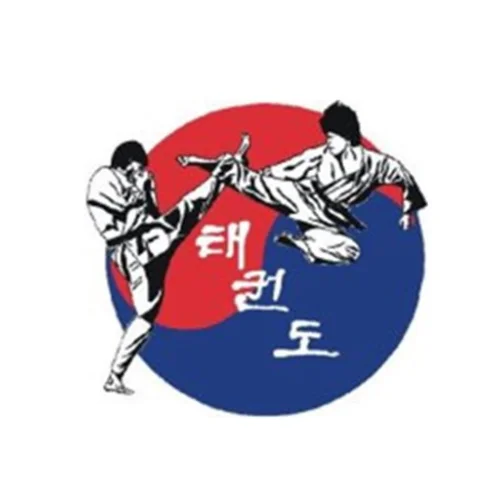 Pinnacle Martial Arts academy photo