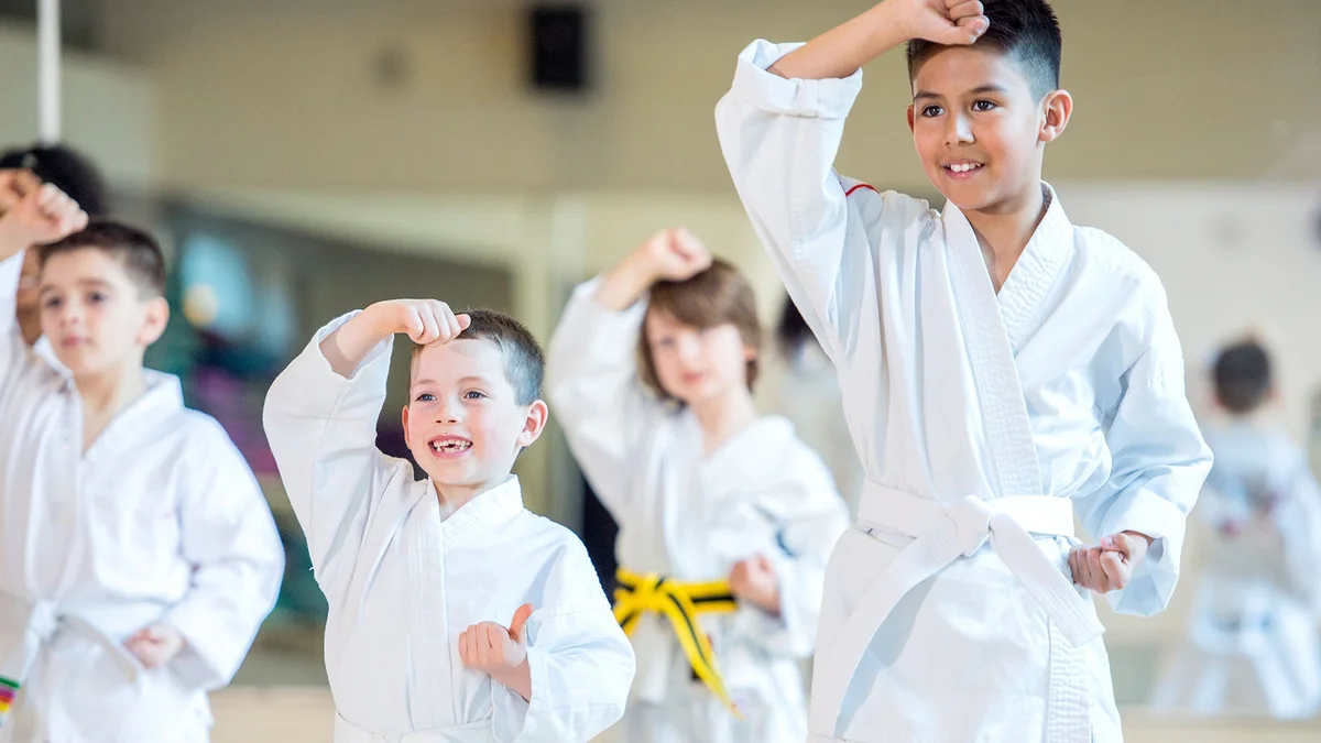 Pinnacle Martial Arts academy photo