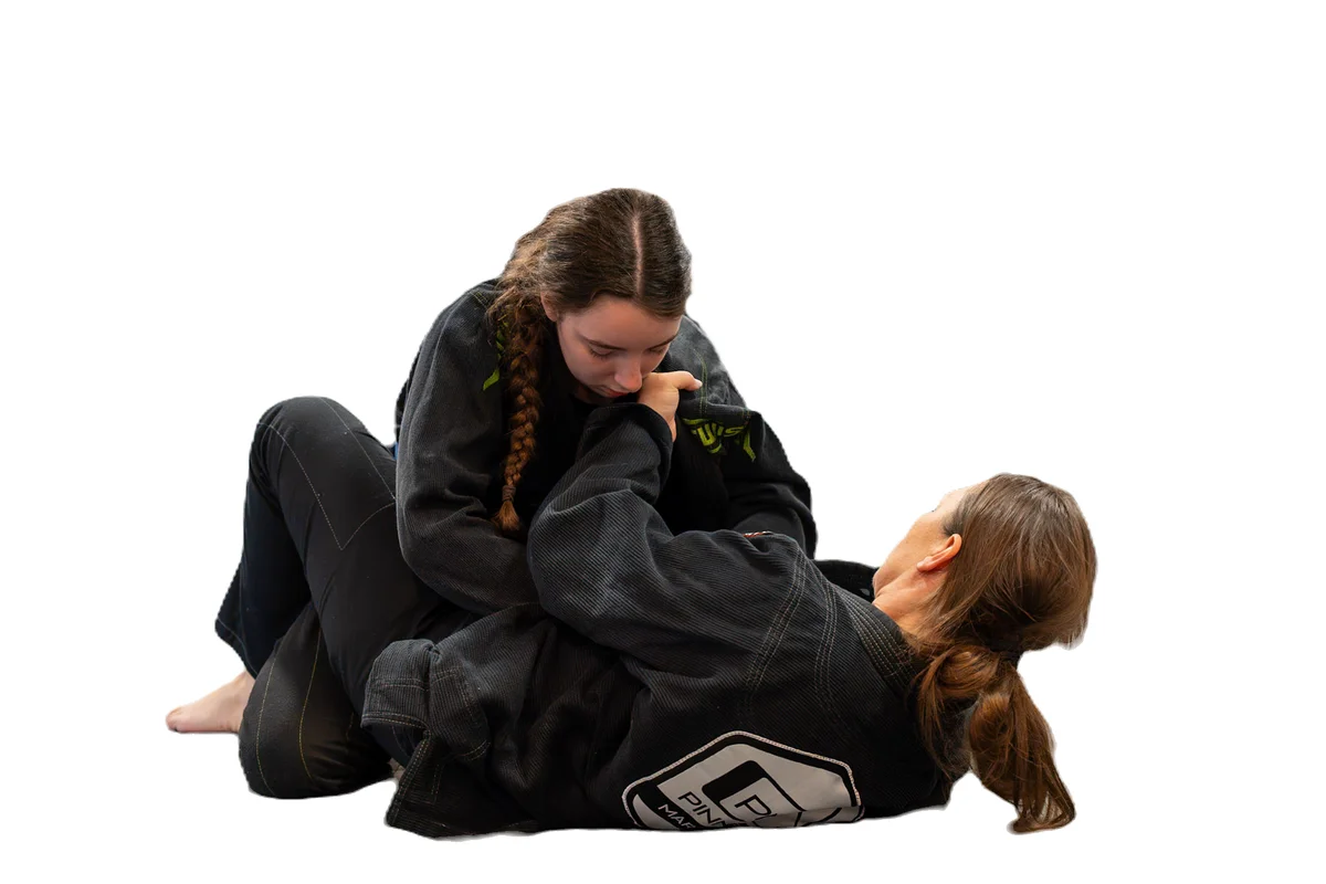 Pinnacle Martial Arts academy photo