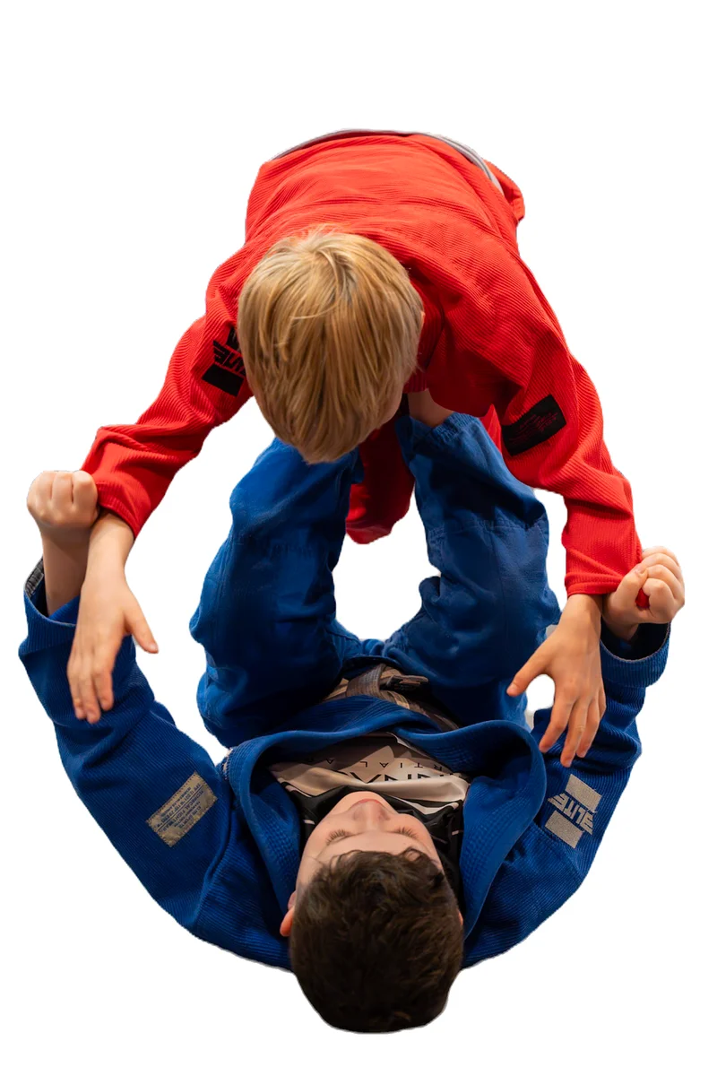 Pinnacle Martial Arts academy photo