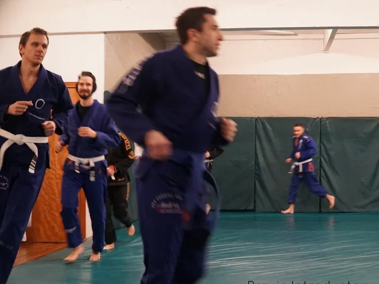 Praxis Brazilian Jiu Jitsu academy photo