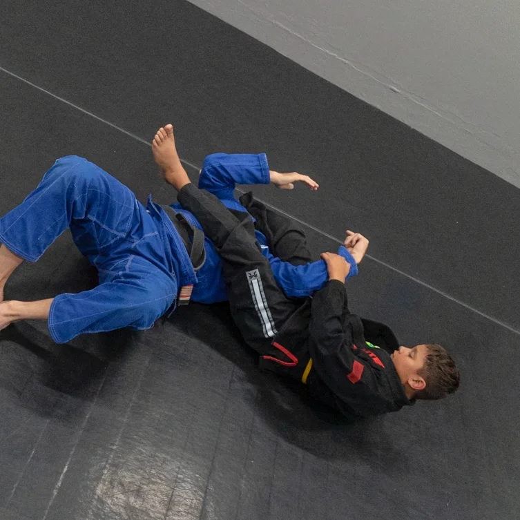 Progressive Jiu Jitsu MMA LLC academy photo