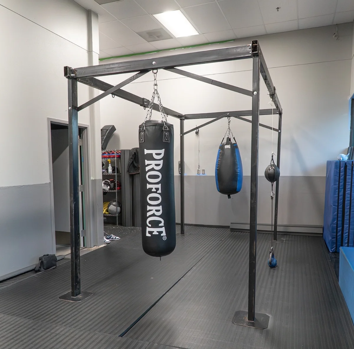 Progressive Jiu Jitsu MMA LLC academy photo
