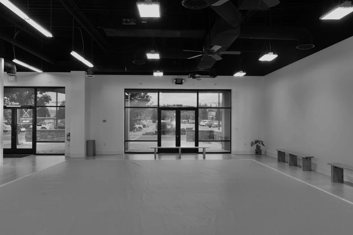 Push + Pull Jiu Jitsu visual