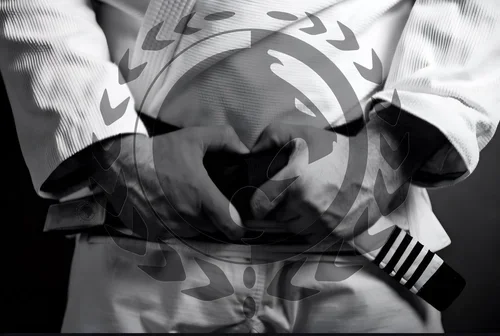 Renzo Gracie Jiu-Jitsu Lynden academy photo