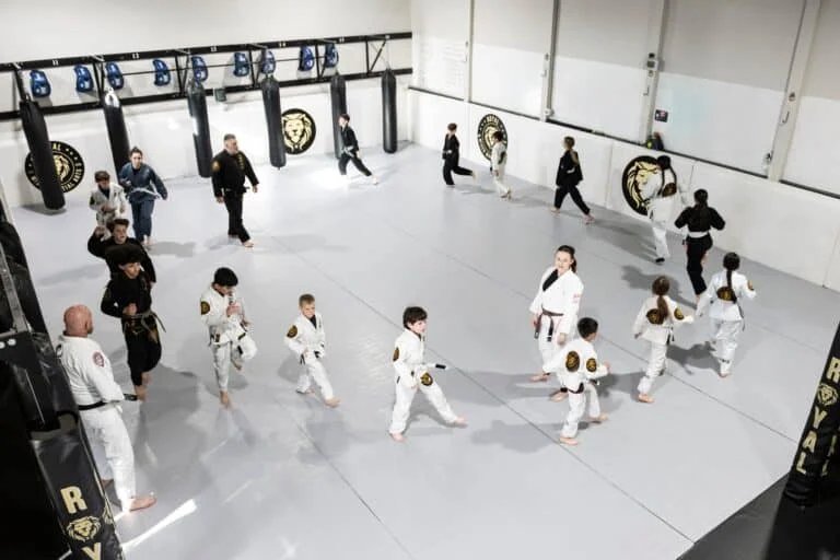 Royal MMA academy photo