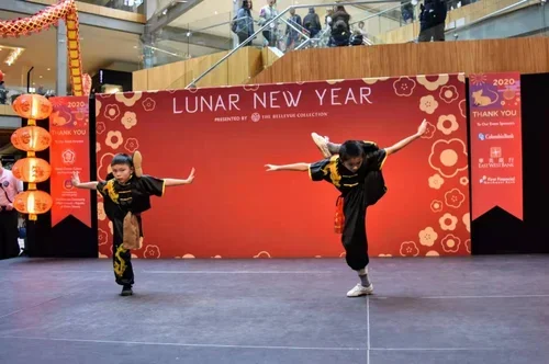 Seattle Shaolin Kungfu Academy (SSKA) academy photo