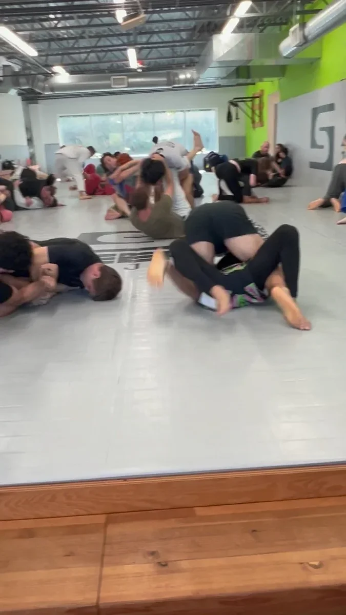 Sleeper Jiu Jitsu visual