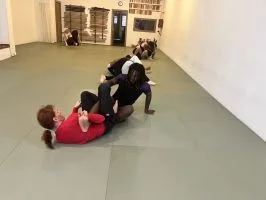 Snowblind BJJ visual