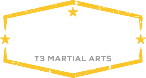 T3MA Bellevue visual