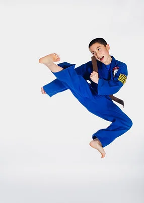 Trinity Martial Arts academy logo