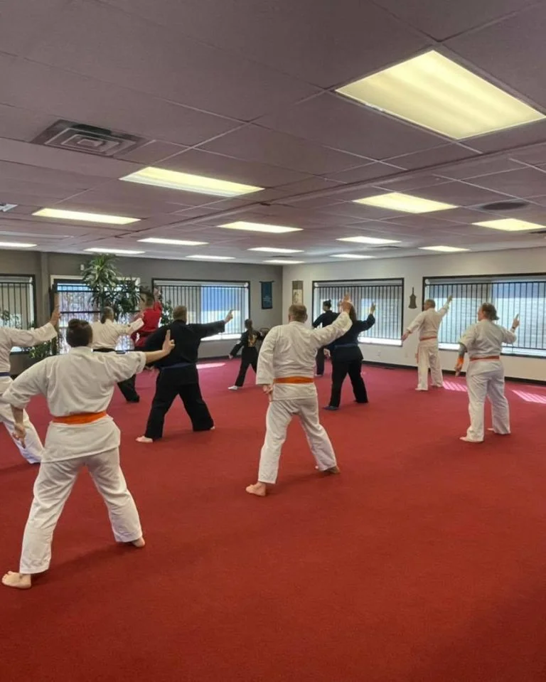 UNITED STUDIOS OF SELF DEFENSE academy photo